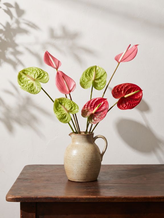 ASSORTED ANTHURIUM
